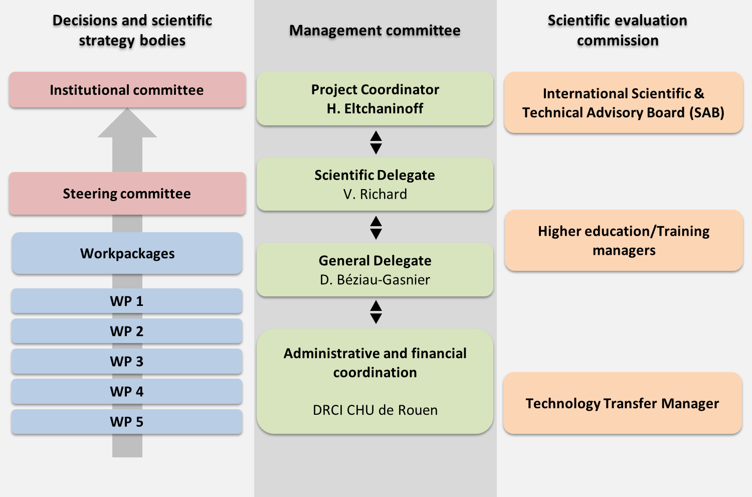 Organigramme EN